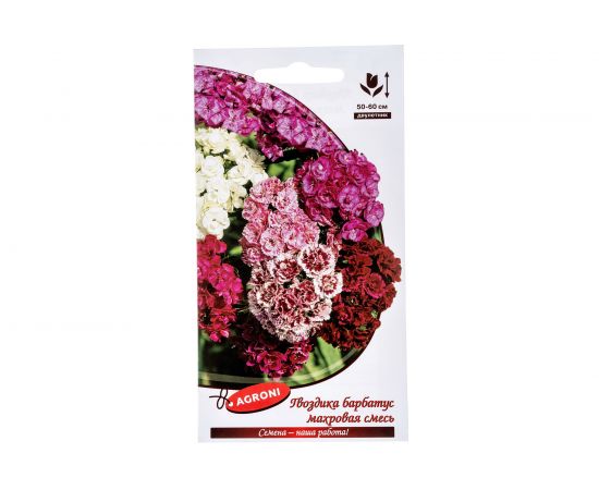 Семена Агрони Гвоздика барбатус МАХРОВАЯ СМЕСЬ 2984 