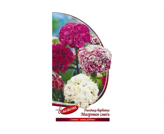 Семена Агрони Гвоздика барбатус МАХРОВАЯ СМЕСЬ 2984 – изображение 2