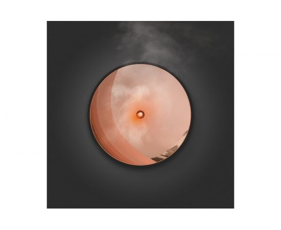 Ароматизатор Stadler Form Zoe black черный Z-002 – изображение 3