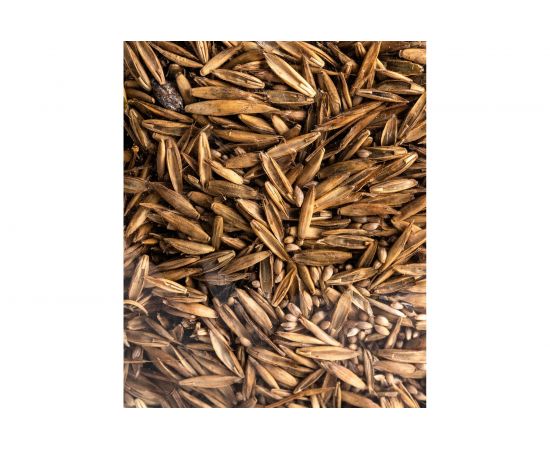 Семена САДОВИТА Газон универсальный-эконом 0.5 кг 00097645 – изображение 4