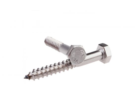 Сантехнический шуруп с ШГ ЕВРОПАРТНЕР DIN 571 Zn 10х60 2шт. 5 0959 1 
