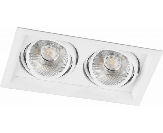 Карданный светодиодный светильник FERON 2x20W 3600 Lm, 4000К, 35 градусов, белый, AL202 29777 