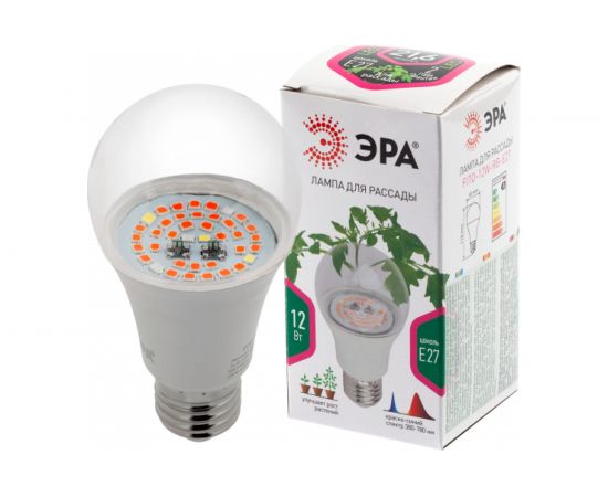 Лампа ЭРА FITO 12W RB E27 Б0050601 – изображение 4