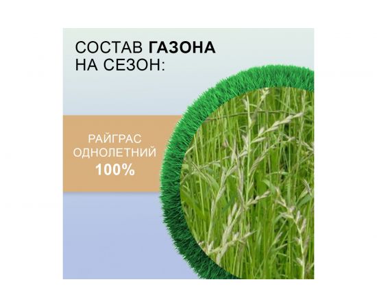 Семена газона Мираторг Газон на сезон 2 кг 1010024832 – изображение 3