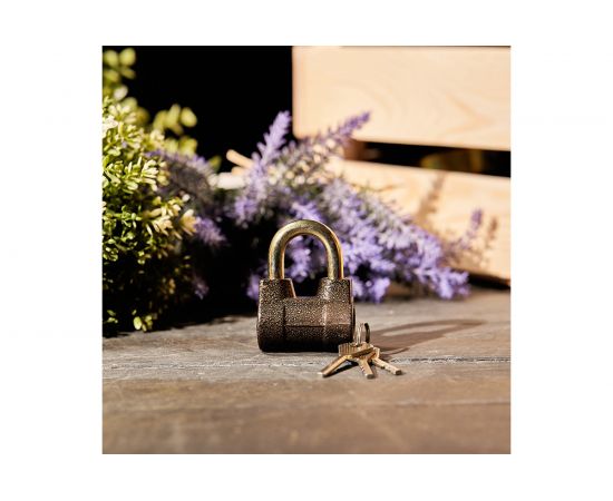 Навесной замок ЧЕТЫРЕ СЕЗОНА БР-55 79-0145 – изображение 2