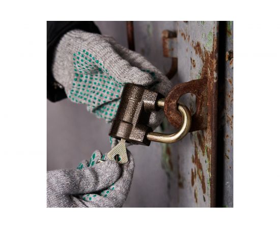 Навесной замок ЧЕТЫРЕ СЕЗОНА БР-55 79-0145 – изображение 3