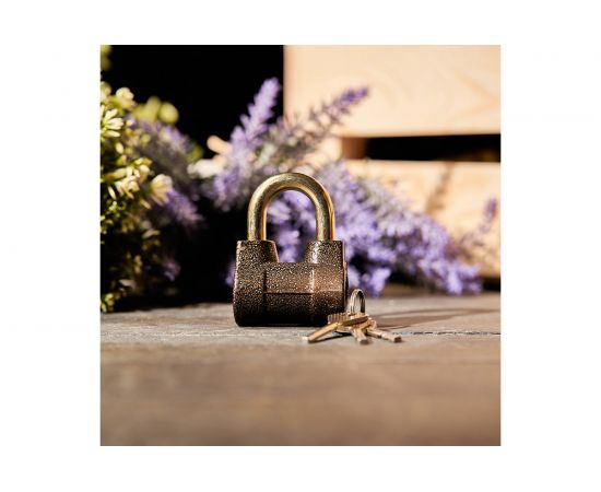 Навесной замок ЧЕТЫРЕ СЕЗОНА БР-55 79-0145 – изображение 4