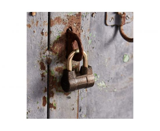 Навесной замок ЧЕТЫРЕ СЕЗОНА БР-55 79-0145 – изображение 5