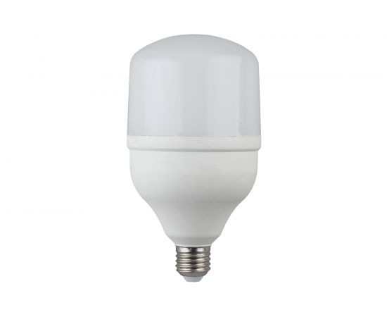 Светодиодная лампа ЭРА LED smd POWER 20W-6500-E27 Б0027011 