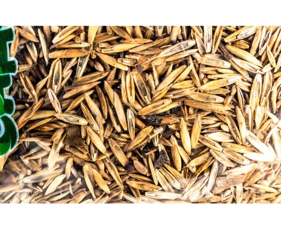 Семена САДОВИТА Газон для спортплощадки эконом 0.5 кг 00091490 – изображение 3