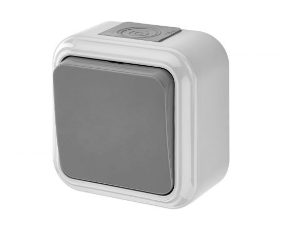 Выключатель Bylectrica 1-клавишная, открытая установка, 6А, IP54, серия ПРАЛЕСКА АКВА, серый, А16-222 03 