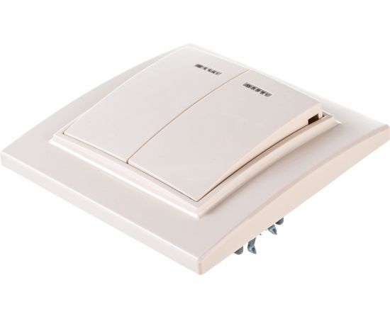 2-клавишный выключатель EKF Минск СП, с индикатором 10А, бежевый ERV10-123-20 – изображение 2