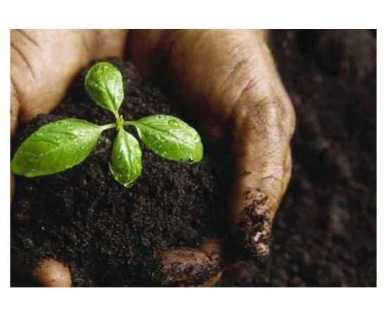 Грунт Сила Суздаля Цитрусовые 5 л GCT0050 – изображение 4