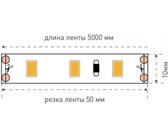 Светодиодная открытая лента SWG 12 Вт/м SMD5630 IP20 Цвет Холодный белый 12В 00-00001688 – изображение 6