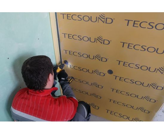 Тарельчатый дюбель-гвоздь ТехноСонус 10мм х 70мм 100шт. 1400300092 – изображение 2