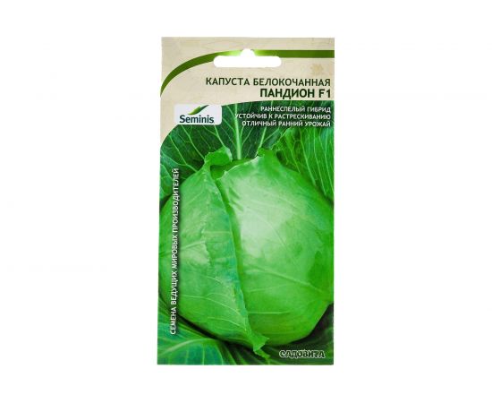 Семена САДОВИТА Капуста Пандион белокочанная F1 10 семечек 00194072 – изображение 4