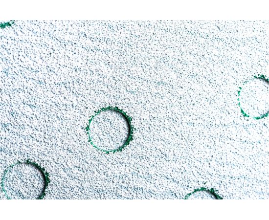 Абразивный диск d 150 мм ЗЕЛЕНЫЙ 15 отв P0080 набор 10 шт Schtaer FILM FScG80 – изображение 3