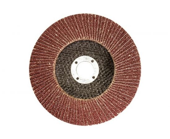 Круг лепестковый торцевой (125х22.2 мм; P25) для УШМ Matrix 74041 – изображение 4