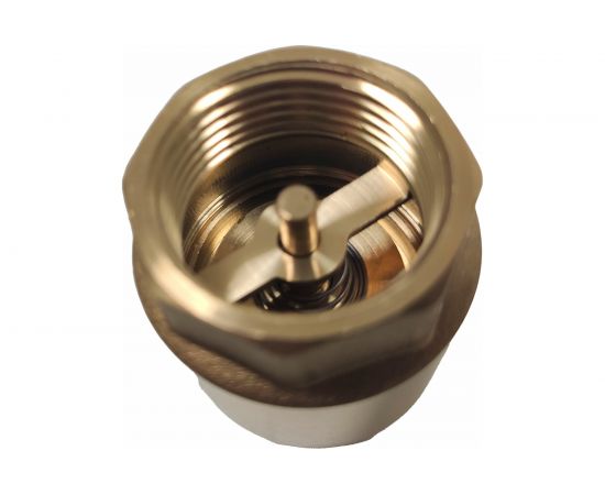 Обратный клапан WWSYSTEM пружинный муфтовый, 1"" с металлическим затвором К0100ВН – изображение 3