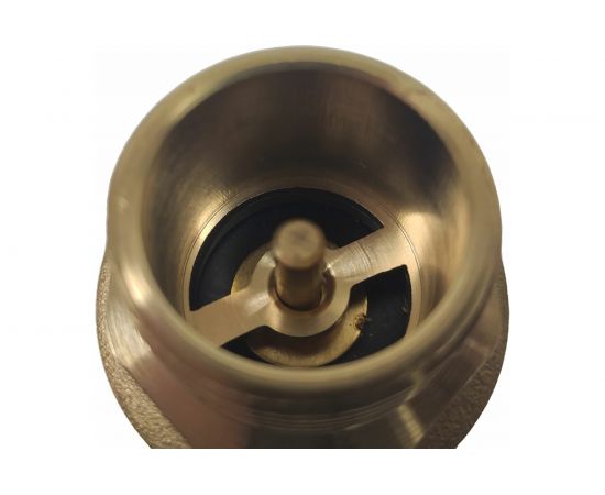 Обратный клапан WWSYSTEM пружинный муфтовый, 1"" с металлическим затвором К0100ВН – изображение 4