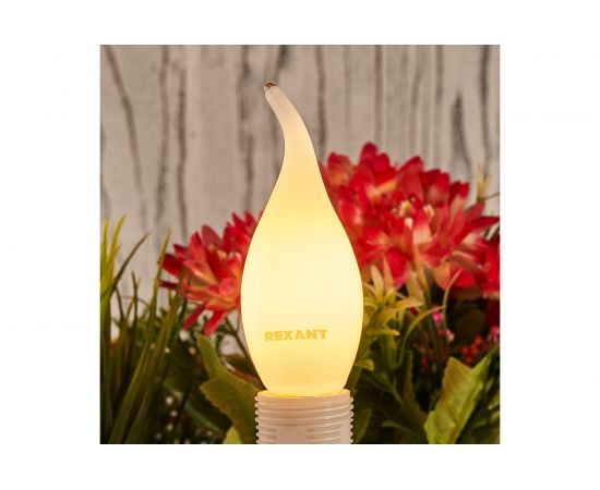 Филаментная лампа REXANT Свеча на ветру CN37 9.5 Вт 2700K E14 матовая колба 604-113 – изображение 3