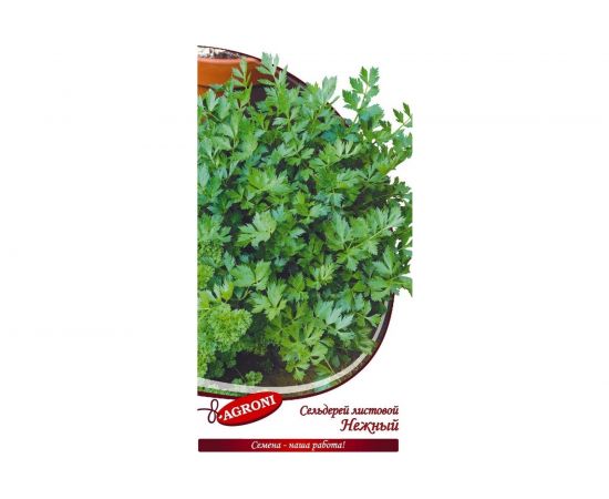 Семена Агрони Сельдерей листовой НЕЖНЫЙ 1864 