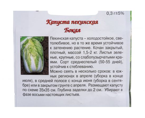 Семена Агрони Капуста пекинская БОКАЛ 3905 – изображение 2