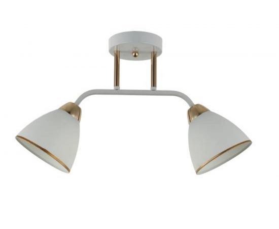 Потолочная люстра J-LIGHT MINI 3207/2C 