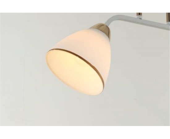 Потолочная люстра J-LIGHT MINI 3207/2C – изображение 6