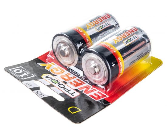 Элемент питания Трофи LR20-2BL C0034933 