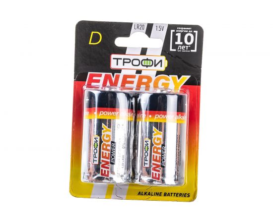 Элемент питания Трофи LR20-2BL C0034933 – изображение 3