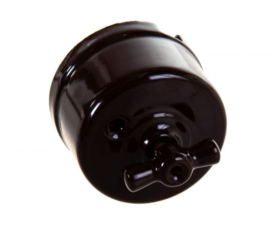 Двухклавишный выключатель Retrika, ретро цвет коричневый R-SW-22 – изображение 3