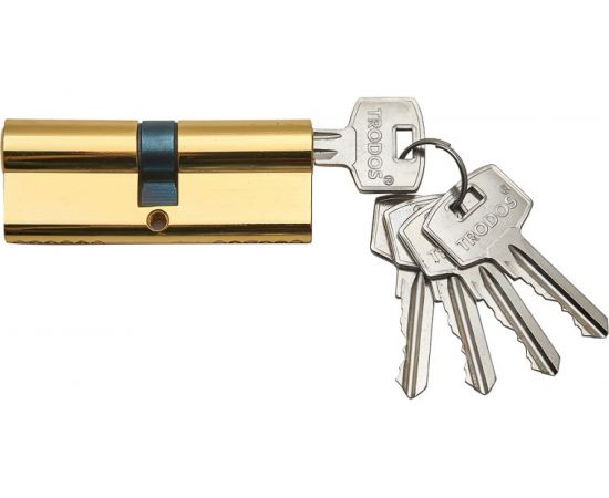 Цилиндр Trodos ЦАМ ЦМ 70, 35/35-5K PB золото 208088 