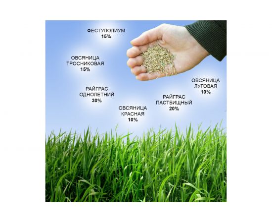 Семена газона Зри в корень Теневыносливый 0.8 кг 1010026128 – изображение 4