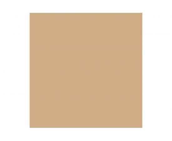 Универсальный колер Palizh PREMIUM (фасад; 0,1 л; №2005 капучино) 11607367 – изображение 2