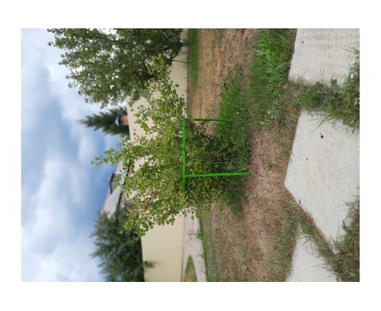 Кустодержатель смородины и крыжовника НАЙДИ GKS6018 – изображение 2