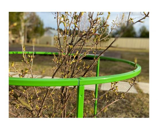 Кустодержатель смородины и крыжовника НАЙДИ GKS6018 – изображение 3