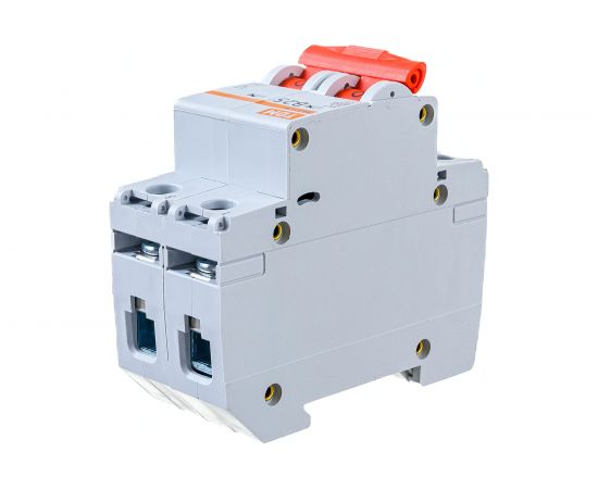 Автоматический выключатель ВА47-29 (2Р; 25 А; 4.5 кА; В) TDM SQ0206-0028 – изображение 3