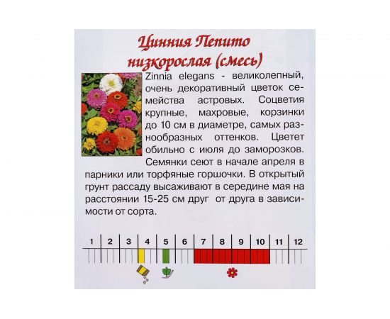 Семена Агрони Цинния изящная низкорослая ПЕПИТО МИКС 8160 – изображение 3