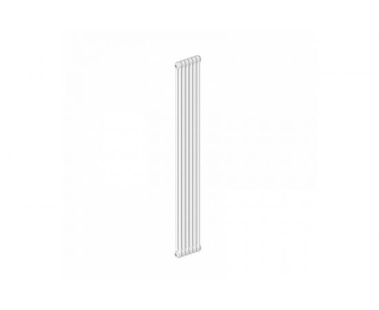 Стальной трубчатый радиатор IRSAP TESI/2 1800 EL4 CL.01 T30 / RR218000401A430N01 