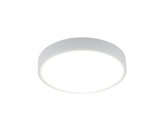 Светодиодный стационарный светильник Elektrostandard DLR034 18W 4200K a043015 