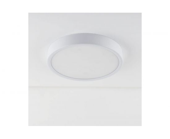 Светодиодный стационарный светильник Elektrostandard DLR034 18W 4200K a043015 – изображение 5