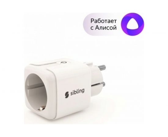 Умная розетка Sibling люкс с расходомером Powerswitch-luxe 00-00011358 – изображение 2