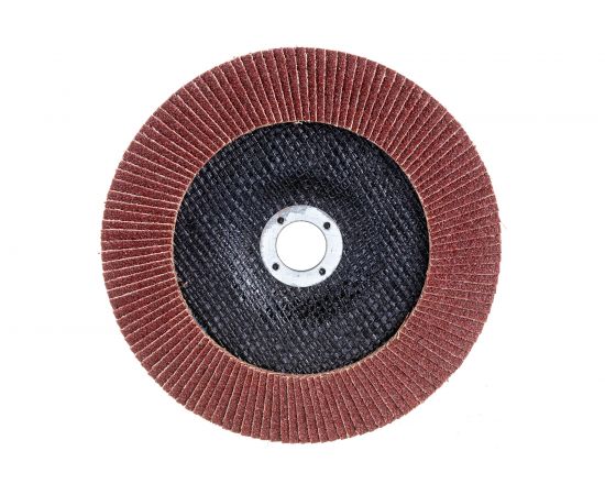 Круг лепестковый торцевой (180х22.23 мм; Р40) REDVERG 920411 6624177 – изображение 2