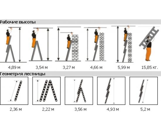 Трехсекционная лестница Эйфель Классик 3х8 – изображение 2