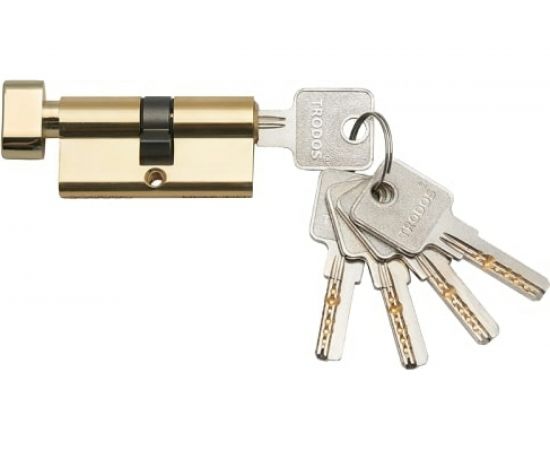 Латунный цилиндр Trodos ЦМВП 80, 40/40-5К PB золото 208159 