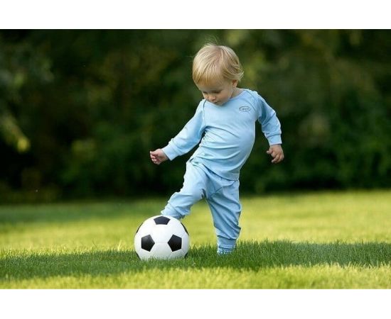 Газонная травосмесь Сила Суздаля Спортивная 10 кг GTS0100 – изображение 3