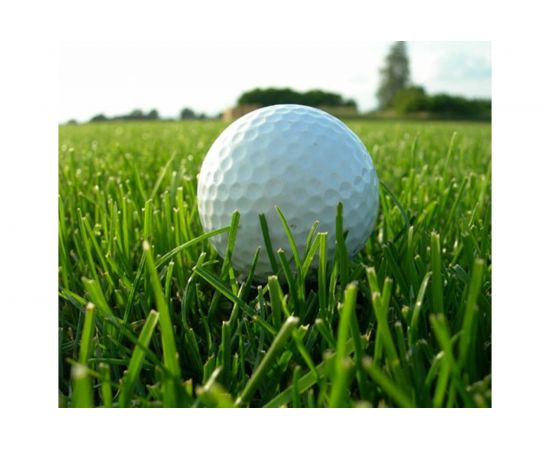 Газонная травосмесь Сила Суздаля Спортивная 10 кг GTS0100 – изображение 4