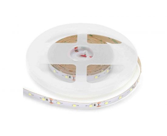 Светодиодная лента APEYRON 12В, 9,6Вт/м, smd2835 5м, холодный белый 55 