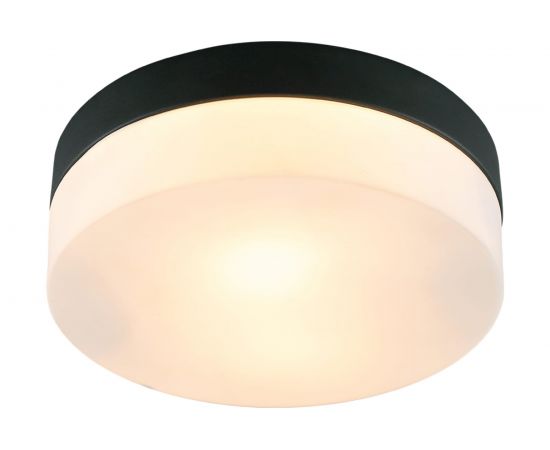 Потолочный светильник ARTE LAMP A6047PL-2BK 